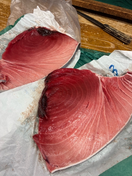 本鮪腹38.0kg